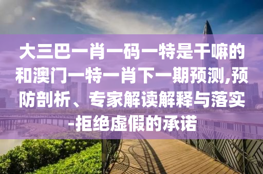 大三巴一肖一碼一特是干嘛的和澳門一特一肖下一期預(yù)測,預(yù)防剖析、專家解讀解釋與落實(shí)-拒絕虛假的承諾