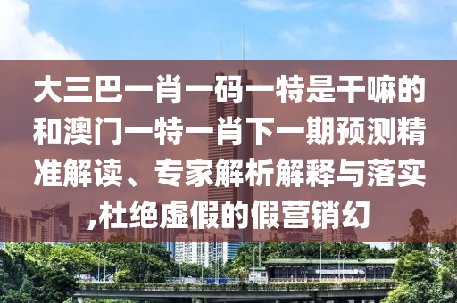 大三巴一肖一碼一特是干嘛的和澳門一特一肖下一期預(yù)測精準(zhǔn)解讀、專家解析解釋與落實(shí),杜絕虛假的假營銷幻